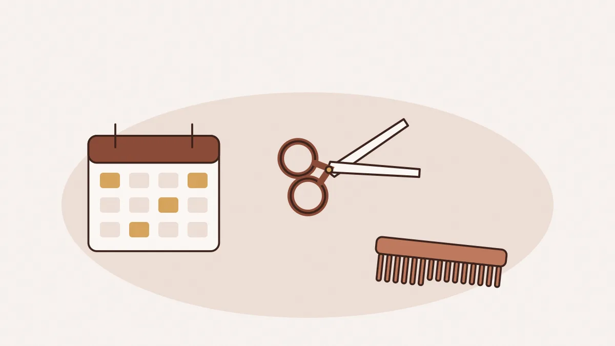 Un calendrier, des ciseaux et un peigne posés sur un contrat
