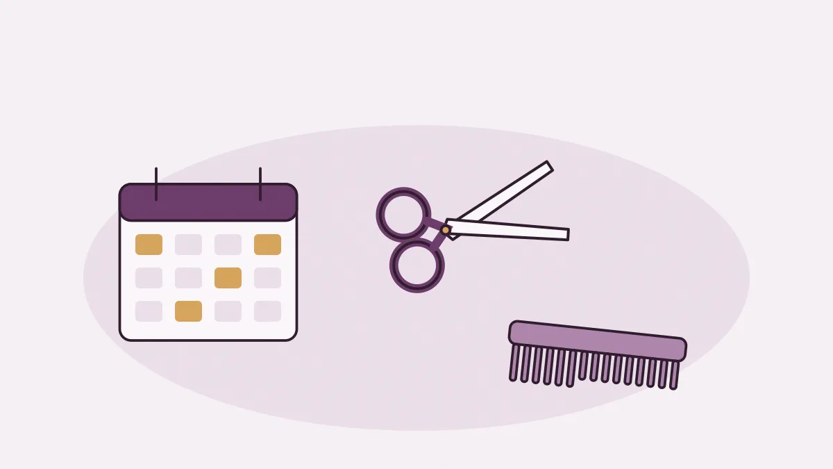 Un calendrier, des ciseaux et un peigne posés sur un contrat